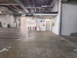 Ct Foodnex (D25), Factory #571662691